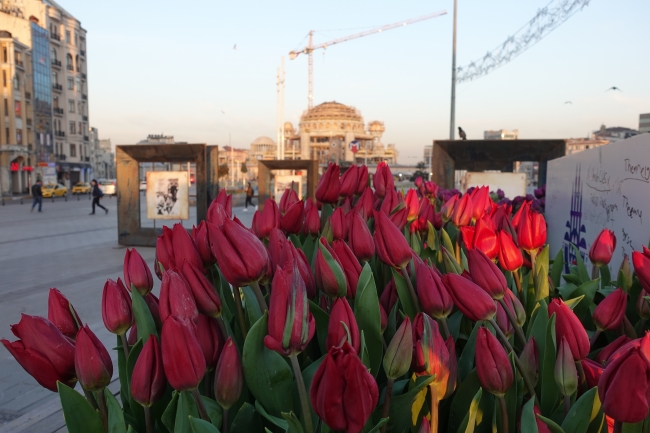 Taksim Meydanı lalelerle donatıldı